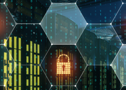 Mikrosegmentierung2025