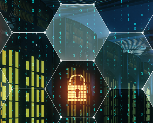 Mikrosegmentierung2025