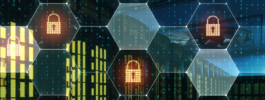 Mikrosegmentierung2025