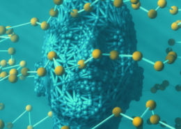 Training von KI-Modellen