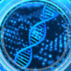 dnssec
