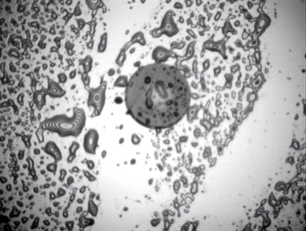 Verschmutzte Ferrule