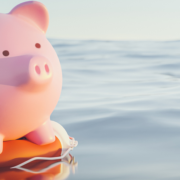 Sicherheitsbudgets sinnvoll einsetzen